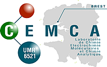 UMR CNRS 6521